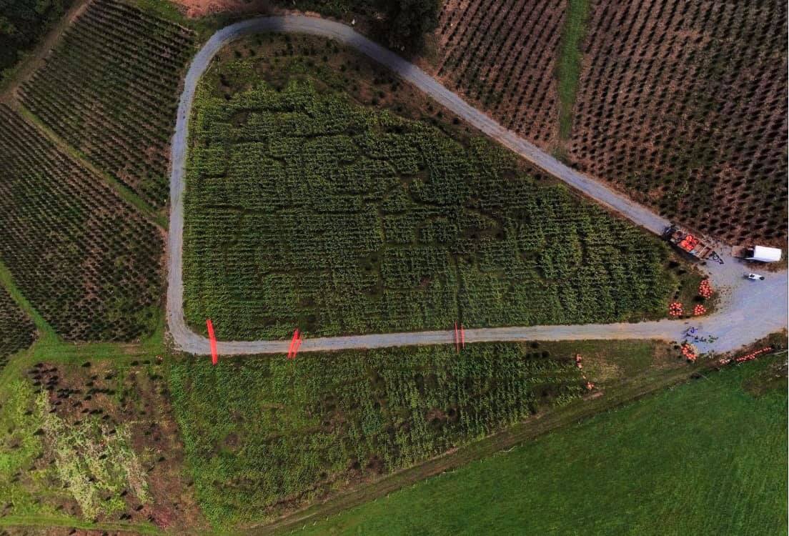 C&J Corn Maze and Pumpkin Patch