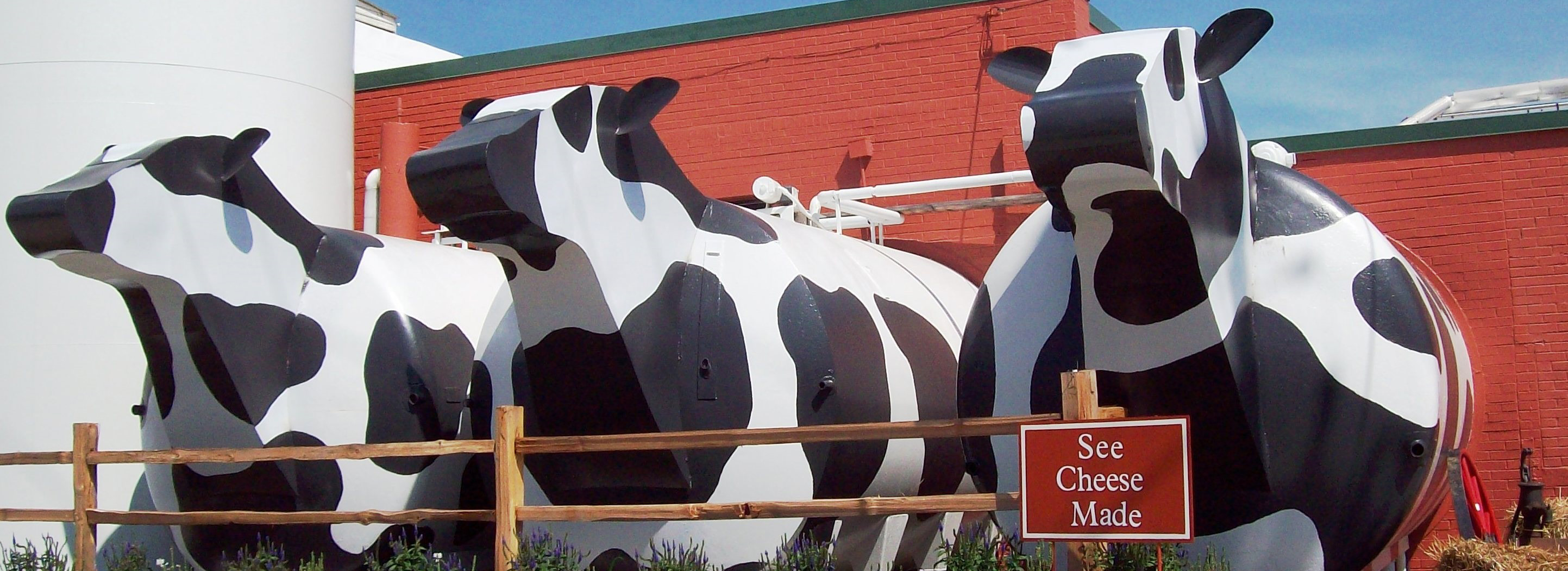 Ashe County Cheese Factory Viewing Room