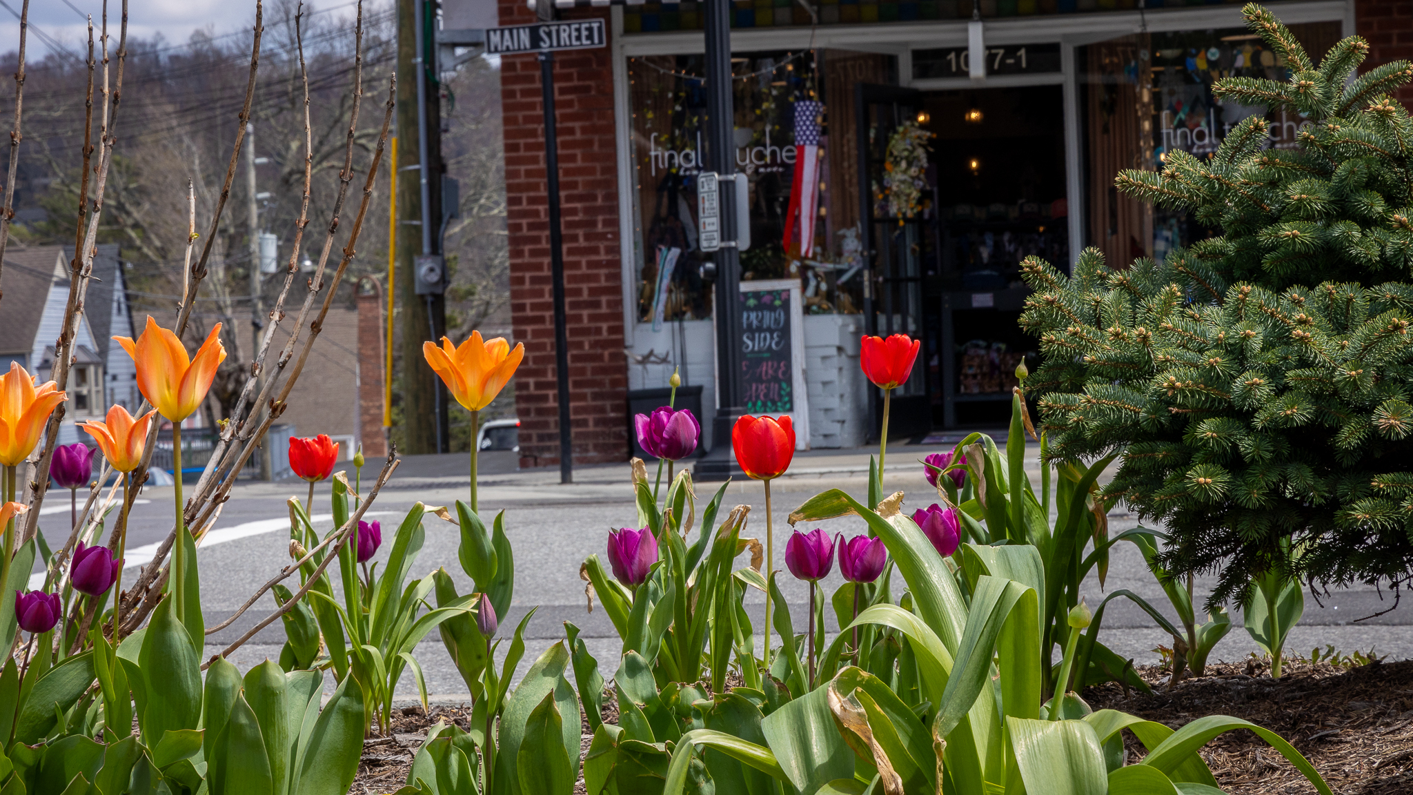 April 28- Tulips in Downtown Blowing Rock